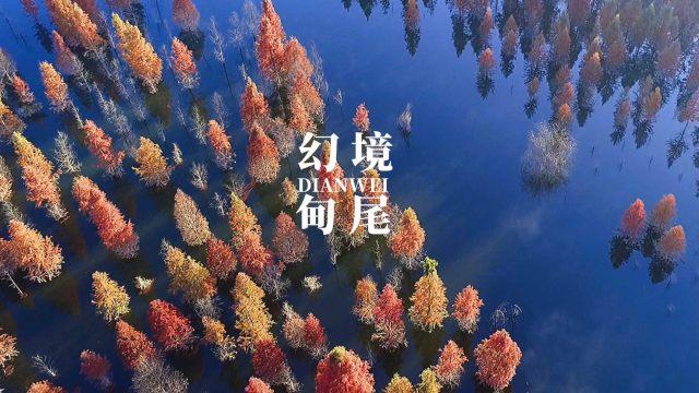 探索知识星球这东西什么用途,解锁更广阔的知识世界!