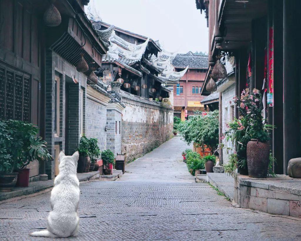 汤尤杯选拔中国男羽以身试险，安洗莹以逸待劳，陈雨菲被雪藏？